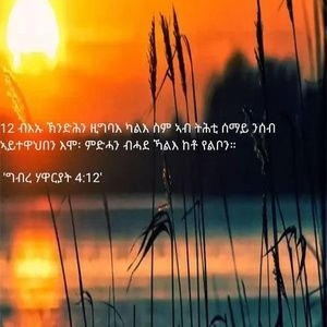 Meet your Posher, Selam